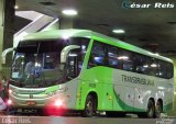 Transbrasiliana Transportes e Turismo 51039 na cidade de Belo Horizonte, Minas Gerais, Brasil, por César Ônibus. Número da foto: #5296841.