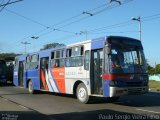 EAOSA - Empresa Auto Ônibus Santo André 810 na cidade de , por Paulo Sérgio Vieira Filho. Número da foto: #5296825.