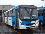 Transwolff Transportes e Turismo TREINAMENTO na cidade de São Paulo, São Paulo, Brasil, por Roberto Teixeira. Número da foto: #5296571.