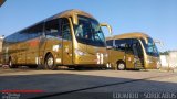 BBTT - Benfica Barueri Transporte e Turismo 1904 na cidade de Sorocaba, São Paulo, Brasil, por EDUARDO - SOROCABUS. Número da foto: #5295494.