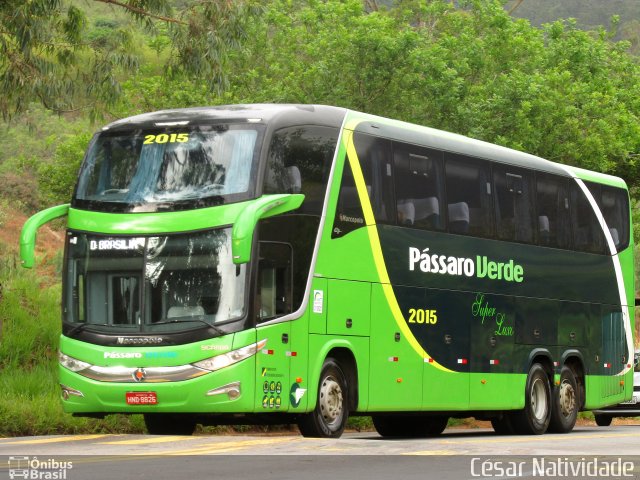 Pássaro Verde 2015 na cidade de Mariana, Minas Gerais, Brasil, por César Natividade. Número da foto: #5300571.