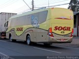 SOGIL - Sociedade de Ônibus Gigante Ltda. 479 na cidade de Gravataí, Rio Grande do Sul, Brasil, por Mauricio Peres Rodrigues. Número da foto: #:id.