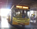 Viação Paraense 30461 na cidade de Belo Horizonte, Minas Gerais, Brasil, por Vitor Hugo. Número da foto: #5299694.