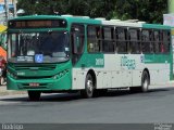 OT Trans - Ótima Salvador Transportes 20392 na cidade de Salvador, Bahia, Brasil, por Rodrigo Vieira. Número da foto: #5299856.