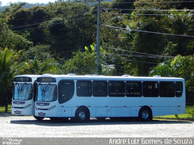 Ônibus Particulares 8600 na cidade de São Gonçalo, Rio de Janeiro, Brasil, por André Luiz Gomes de Souza. Número da foto: #5302941.