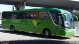 Pássaro Verde 15131 na cidade de Belo Horizonte, Minas Gerais, Brasil, por Igor Policarpo. Número da foto: #:id.