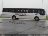 Sayonara - Auto Viação Monte Alverne 300 na cidade de Santa Cruz do Sul, Rio Grande do Sul, Brasil, por Wagner da Silva Rodrigues. ID da foto: :id.