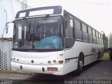 Ávila 757 na cidade de Montenegro, Rio Grande do Sul, Brasil, por Wagner da Silva Rodrigues. Número da foto: #5304665.
