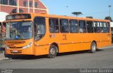 Auto Viação Redentor HA286 na cidade de Curitiba, Paraná, Brasil, por Guilherme Bomfim. Número da foto: #5306418.
