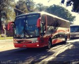 Moralles Turismo SN na cidade de Pelotas, Rio Grande do Sul, Brasil, por Felipe Ferreira Ribeiro. Número da foto: #5308417.