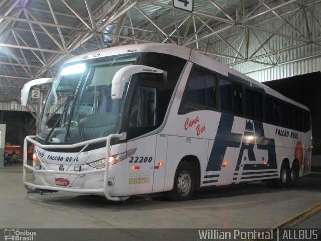 Falcão Real 22200 na cidade de Juazeiro, Bahia, Brasil, por Willian Pontual. Número da foto: #5312758.