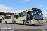 Viação do Sul 26598 na cidade de Curitiba, Paraná, Brasil, por Patrick  Luis Aifeld. Número da foto: #5252341.