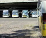 Empresa Gontijo de Transportes 15205 na cidade de Belo Horizonte, Minas Gerais, Brasil, por Maurício Nascimento. Número da foto: #5253492.