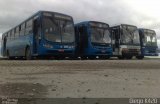 Biguaçu Transportes Coletivos Administração e Participação 361 na cidade de Florianópolis, Santa Catarina, Brasil, por Diego K420 . Número da foto: #:id.