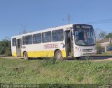 Souza Tur 31 na cidade de Capão do Leão, Rio Grande do Sul, Brasil, por Felipe Ferreira Ribeiro. Número da foto: #5255135.