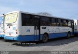 Viação Nossa Senhora Conquistadora 203 na cidade de Pelotas, Rio Grande do Sul, Brasil, por Felipe Ferreira Ribeiro. Número da foto: #5257646.