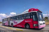 Mexibus 11 na cidade de Tecámac, Estado de México, México, por Omar Ramírez Thor2102. Número da foto: #:id.