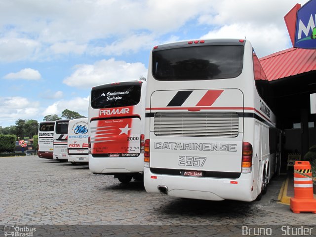 Auto Viação Catarinense 2557 na cidade de Registro, São Paulo, Brasil, por Bruno   Studer. Número da foto: #5338715.