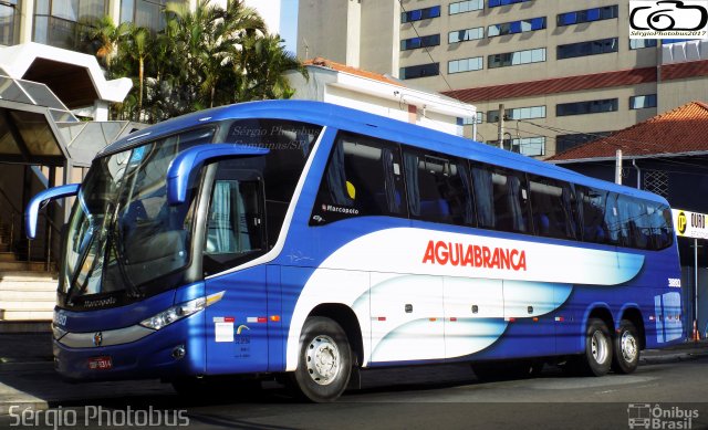 Viação Águia Branca 31880 na cidade de Campinas, São Paulo, Brasil, por Sérgio de Sousa Elias. Número da foto: #5341506.