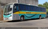 Rosa Turismo 1255 na cidade de Tatuí, São Paulo, Brasil, por Vittor Batista. Número da foto: #5344191.