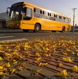 Expresso Azul JC313 na cidade de Curitiba, Paraná, Brasil, por Reginaldo Levinski da Silva. Número da foto: #5342235.