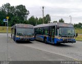 Translink 9667 na cidade de , por Arianderso Melo. Número da foto: #5344499.