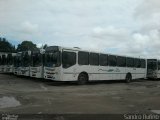 Empresa São Francisco 7009 na cidade de Maceió, Alagoas, Brasil, por Matheus  Nascimento. Número da foto: #5345656.