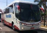 Empresa Reunidas Paulista de Transportes 144905 na cidade de Birigui, São Paulo, Brasil, por Daniel Bispo. Número da foto: #5347089.