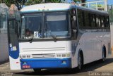 TNT Turismo 2026 na cidade de Goiânia, Goiás, Brasil, por Carlos Júnior. Número da foto: #5348171.
