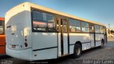 Rápido Araguaia 50114 na cidade de Goiânia, Goiás, Brasil, por André Luiz Canon. Número da foto: #5349916.