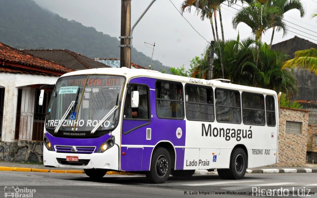 Trenzinho Roxo 9829  na cidade de Mongaguá, São Paulo, Brasil, por Ricardo Luiz. ID da foto: 5354891.