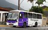 Trenzinho Roxo 9829  na cidade de Mongaguá, São Paulo, Brasil, por Ricardo Luiz. ID da foto: :id.