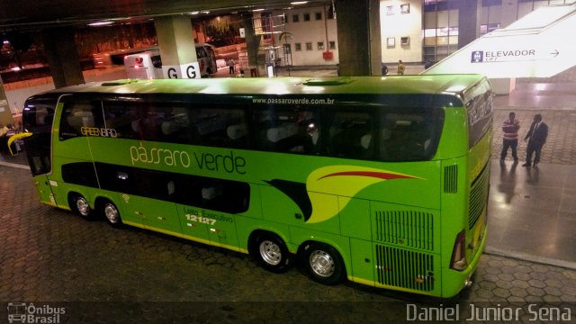 Pássaro Verde 12127 na cidade de Belo Horizonte, Minas Gerais, Brasil, por Daniel Junior Sena. Número da foto: #5357771.