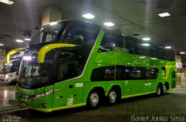 Pássaro Verde 12127 na cidade de Belo Horizonte, Minas Gerais, Brasil, por Daniel Junior Sena. Número da foto: #5357760.