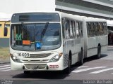 Viação Tamandaré 16409 na cidade de Curitiba, Paraná, Brasil, por Gabriel Machado. Número da foto: #:id.