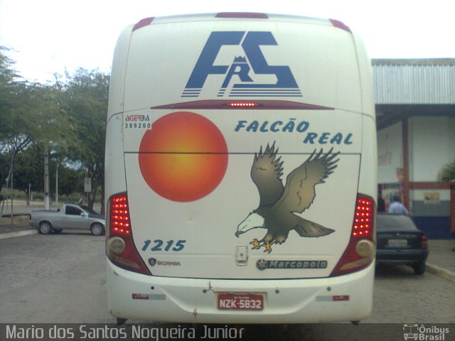 Falcão Real 1215 na cidade de Piritiba, Bahia, Brasil, por Mario dos Santos Nogueira Junior. Número da foto: #5318313.