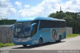 Auto Viação Progresso 6181 na cidade de Recife, Pernambuco, Brasil, por Wellen de Lima Ribeiro. Número da foto: #:id.