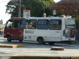 Transwolff Transportes e Turismo 7 8633 na cidade de São Paulo, São Paulo, Brasil, por Manoel Junior. Número da foto: #5362415.
