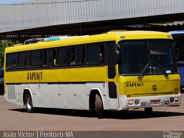 Japiaçu 020 na cidade de Peritoró, Maranhão, Brasil, por João Victor. Número da foto: #5364543.