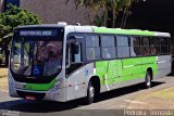 Viação Garcia 8953 na cidade de Apucarana, Paraná, Brasil, por Pedroka Ternoski. Número da foto: #5364793.