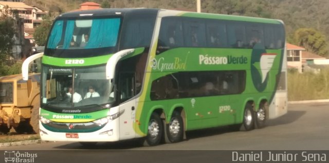 Pássaro Verde 12120 na cidade de Ouro Preto, Minas Gerais, Brasil, por Daniel Junior Sena. Número da foto: #5369916.