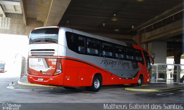 Empresa de Ônibus Pássaro Marron 5308 na cidade de Campinas, São Paulo, Brasil, por Matheus Gabriel dos Santos. ID da foto: 5369289.