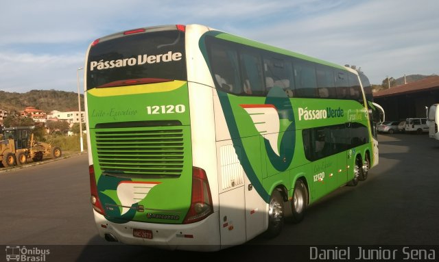 Pássaro Verde 12120 na cidade de Ouro Preto, Minas Gerais, Brasil, por Daniel Junior Sena. Número da foto: #5369909.