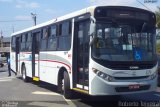 Del Rey Transportes 879 na cidade de Carapicuíba, São Paulo, Brasil, por Roberto Teixeira. Número da foto: #5374741.