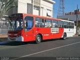 CAF Transportes 2801 na cidade de Araguari, Minas Gerais, Brasil, por Guilherme Antonio. Número da foto: #5376548.