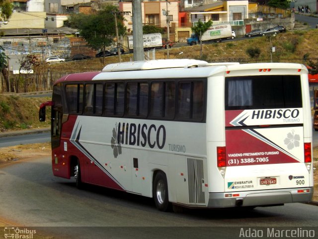 Hibisco Turismo 900 na cidade de Belo Horizonte, Minas Gerais, Brasil, por Adão Raimundo Marcelino. Número da foto: #5379368.