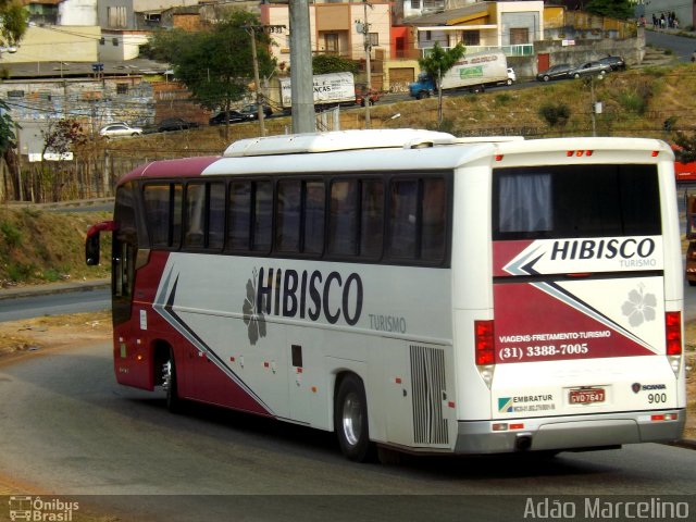 Hibisco Turismo 900 na cidade de Belo Horizonte, Minas Gerais, Brasil, por Adão Raimundo Marcelino. ID da foto: 5379368.