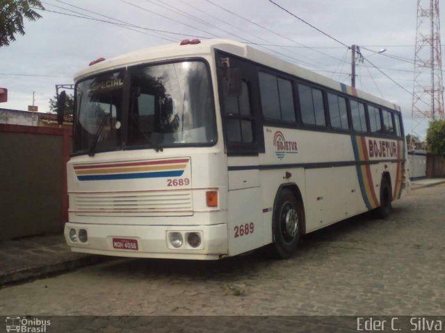 Bojetur 2689 na cidade de Aracaju, Sergipe, Brasil, por Eder C.  Silva. Número da foto: #5379076.