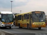 Pampulha Transportes > Plena Transportes 10223 na cidade de Belo Horizonte, Minas Gerais, Brasil, por Adão Raimundo Marcelino. Número da foto: #5379323.