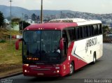 Hibisco Turismo 900 na cidade de Belo Horizonte, Minas Gerais, Brasil, por Adão Raimundo Marcelino. Número da foto: #5379360.